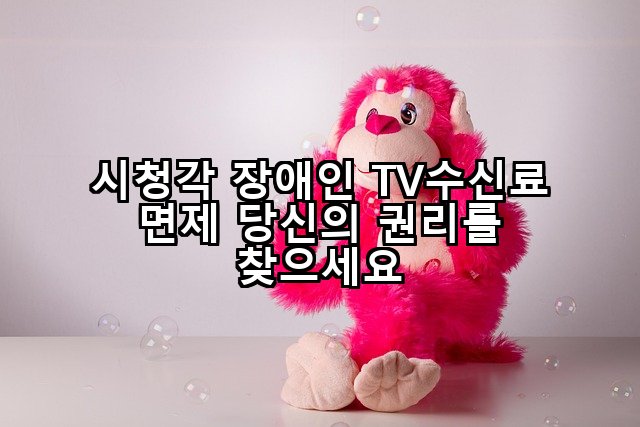 시청각 장애인 TV수신료 면제 당신의 권리를 찾으세요